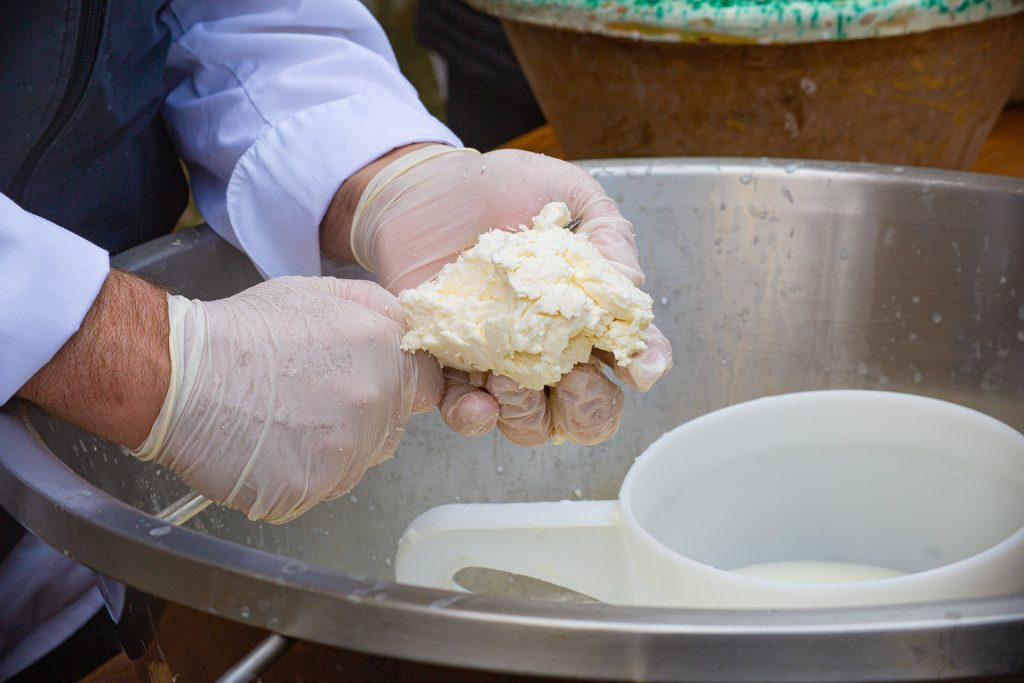 mozzarella8